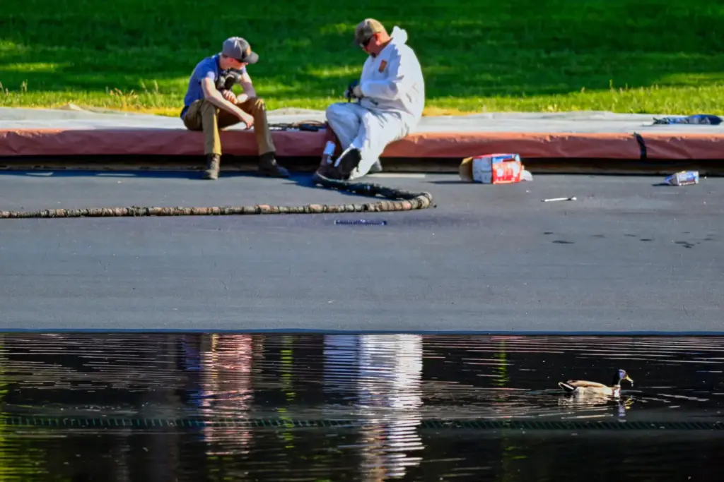 A duck swims by workers in the Lincoln Memorial Reflecting...