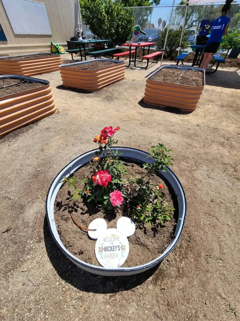 New planters adorn the garden at Walt Disney Elementary School...
