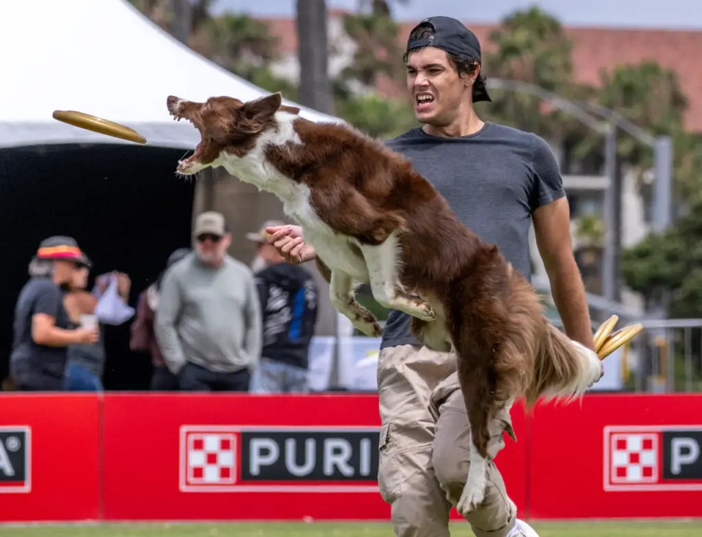 Chris Furseth of Scottsdale and his dog, Helios, a 5-year-old...