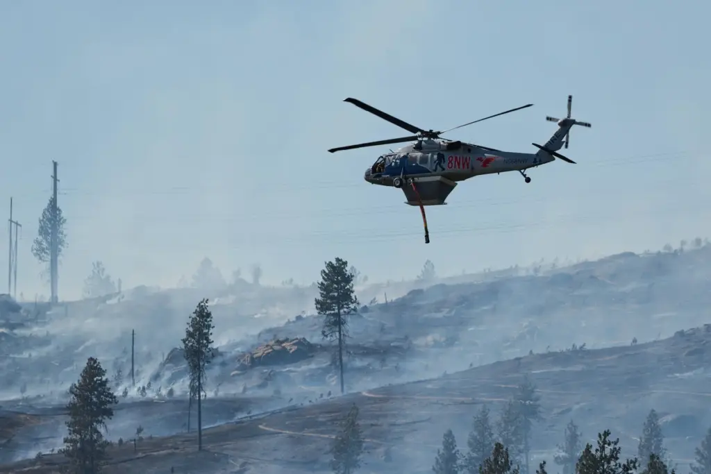 A helicopter is piloted over a burned forest after the...