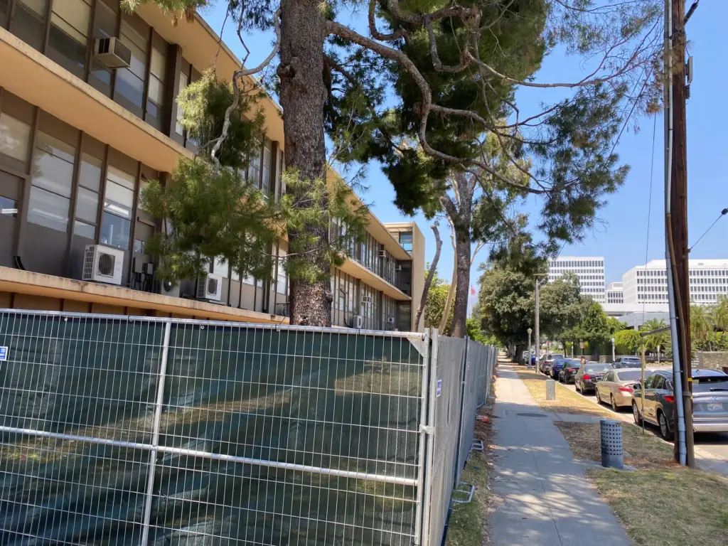 Fences set up around trees at the Pasadena Unified School...