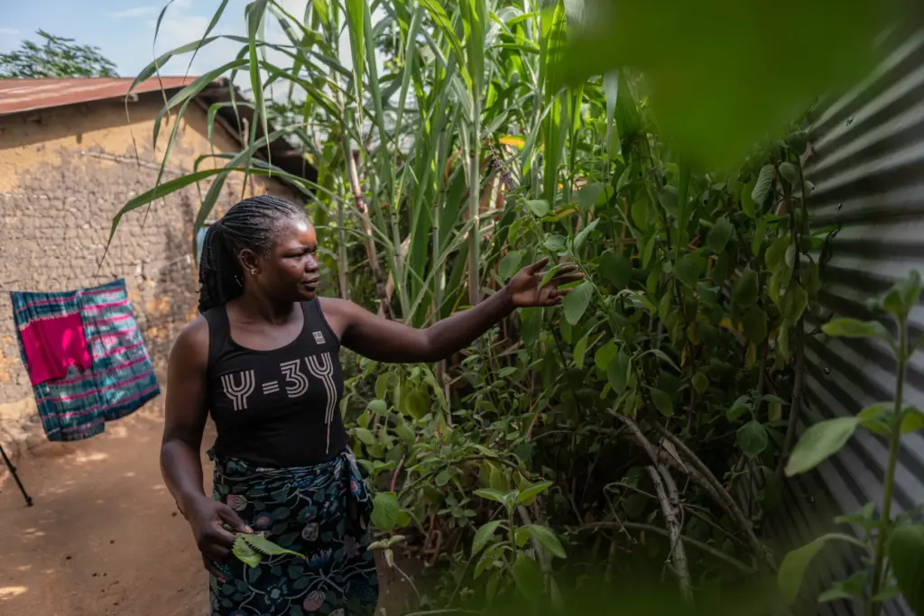 Chantie Joe Kiss cuts plants to prepare traditional medicines she believes can cure various illnesses.