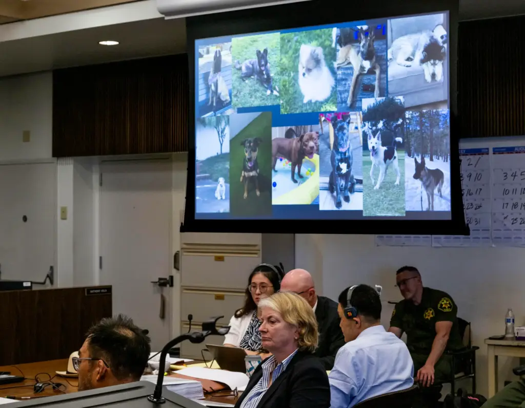 Defense attorneys and their clients listen to Deputy District Attorney...