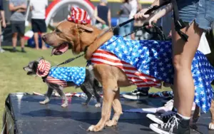 Anaheim Hills briefs: Celebrate July 4 with annual parade, festival and fun in Anaheim Hills