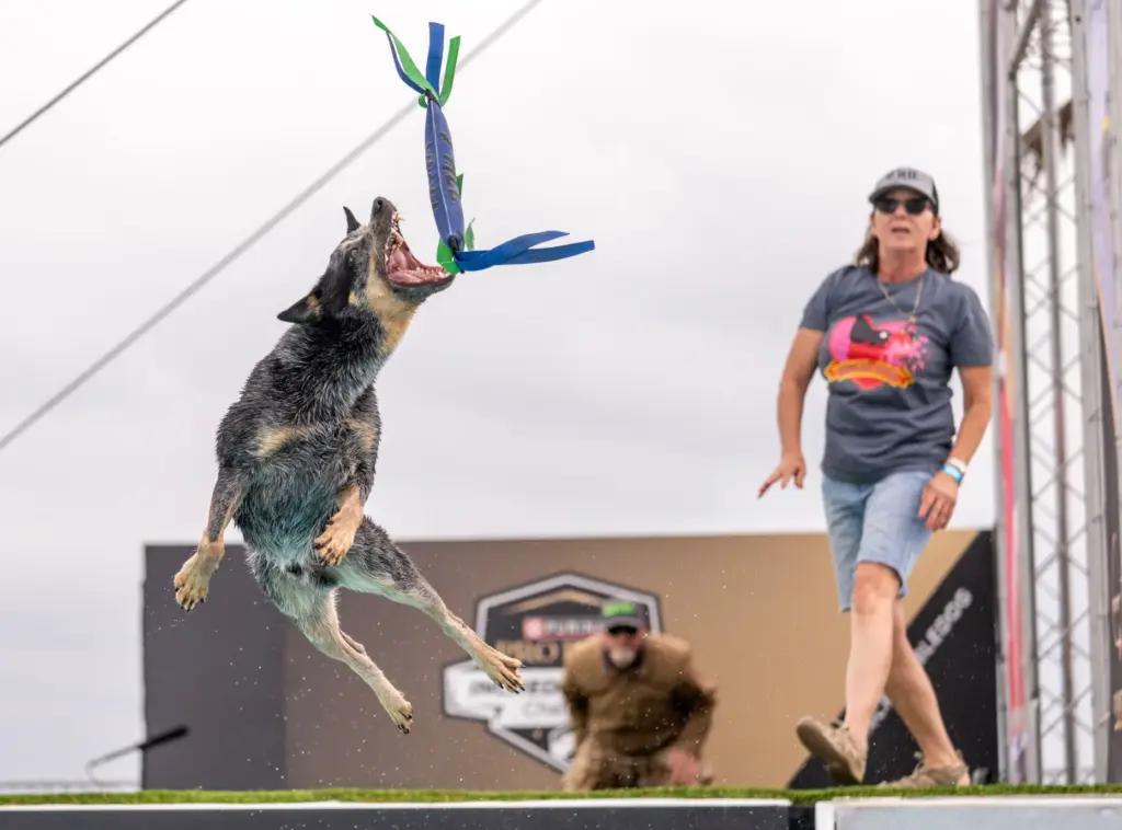 Sandy Knapp of Rancho Cucamonga watches as her dog, Yâall,...