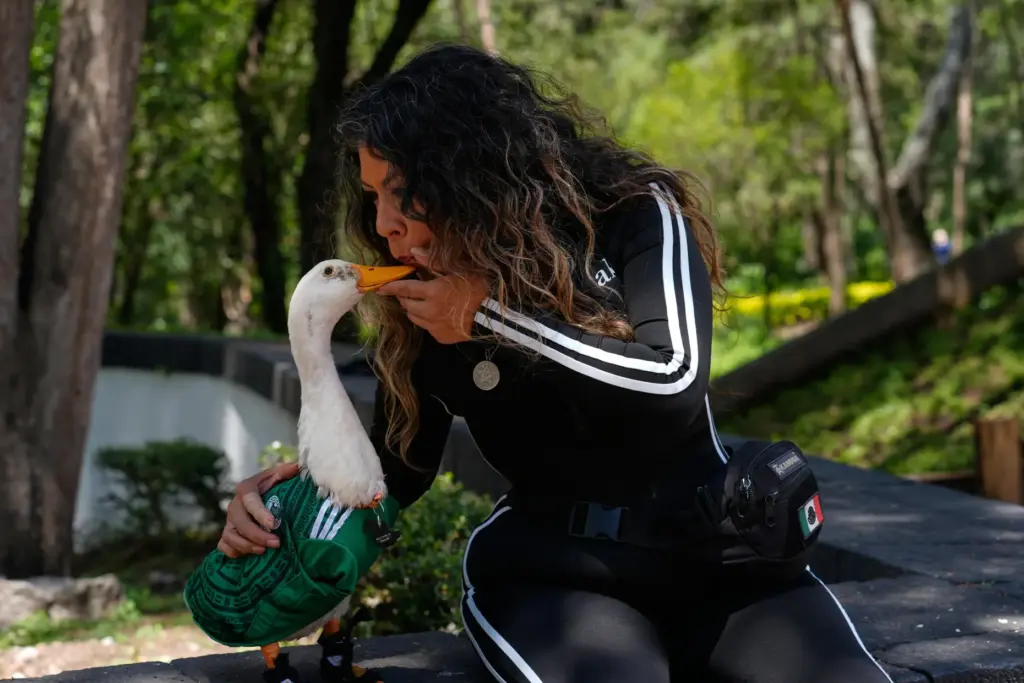Carla Gomez blows on to her duck Merlin, dressed in...