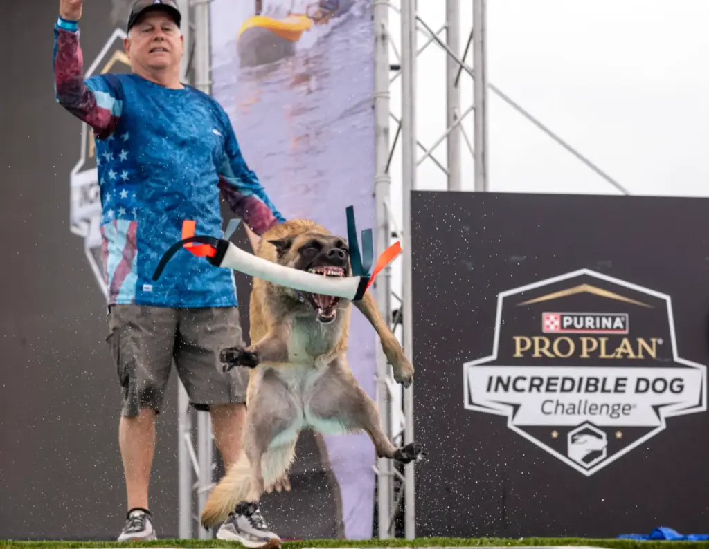 Raymond Mobilia of Scottsdale cheers on his dog, Star, a...