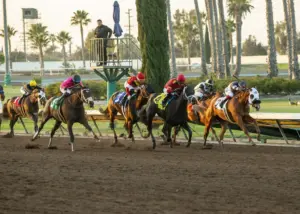 Horse racing: Los Alamitos opens 3-week thoroughbred meet Friday