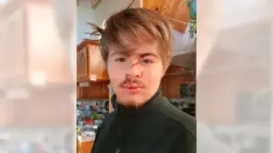 Hunt is on for bear that scratched up 19-year-old Crestline man in his bedroom