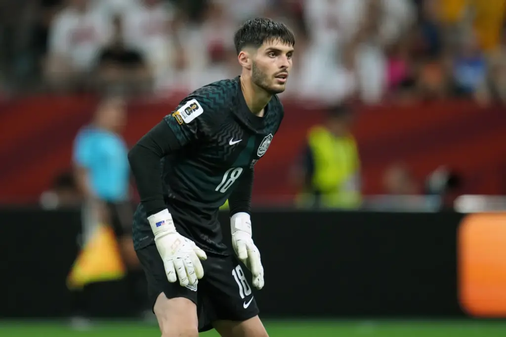 Australia goalkeeper Patrick Beach (18) during the World Cup Group...