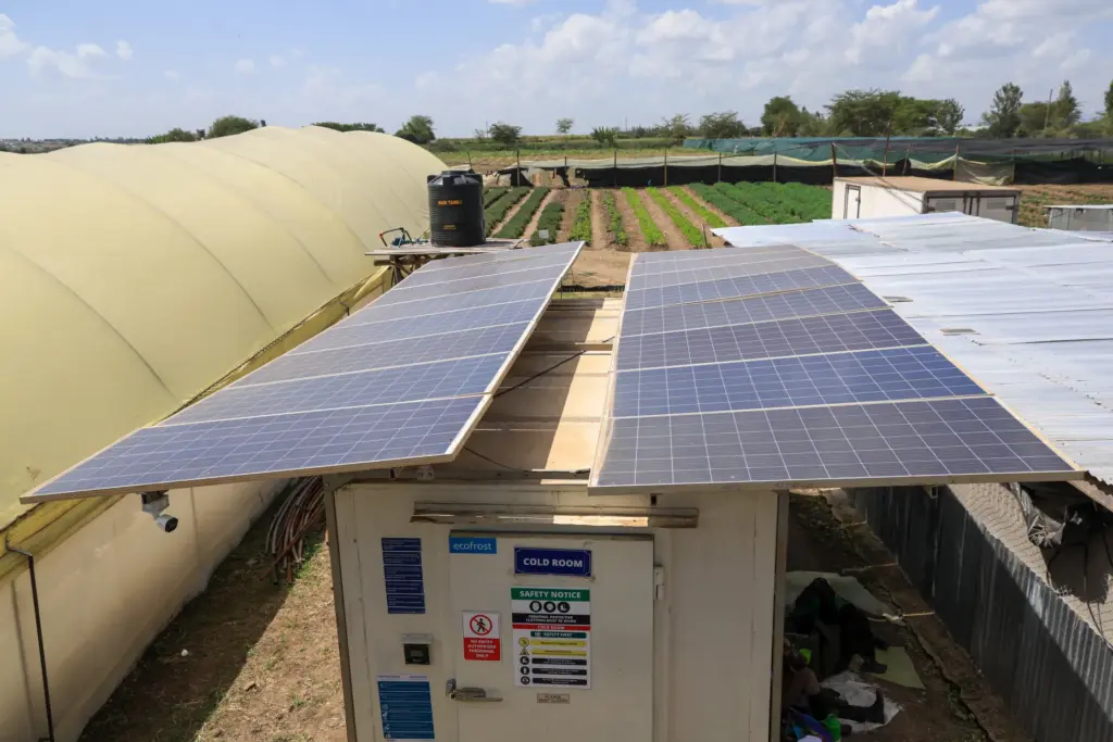 View of Solar powered cold storage units at Citadel Agri...