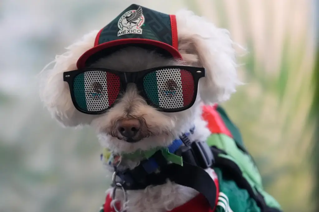 A dog named Osito wears a Mexico national team jersey...