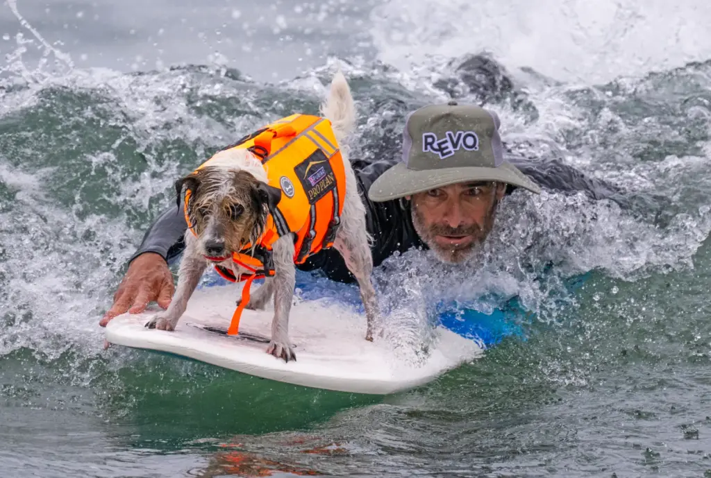 Patrick Giles of San Diego and his dog Maxton, a...