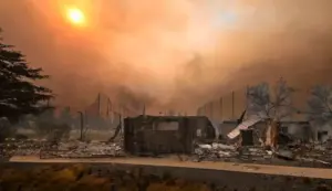 Here are some alarming wildfire statistics from recent years