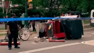 Horse-drawn carriage rides in New York on hold after teen tourist’s death