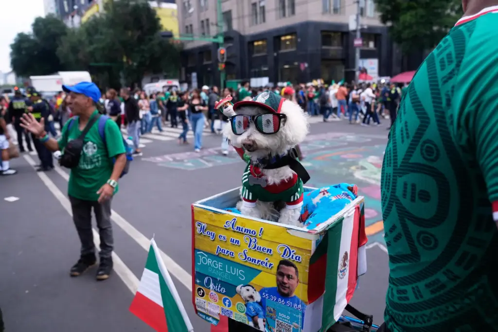 A dog named Osito wears a Mexico national team jersey...