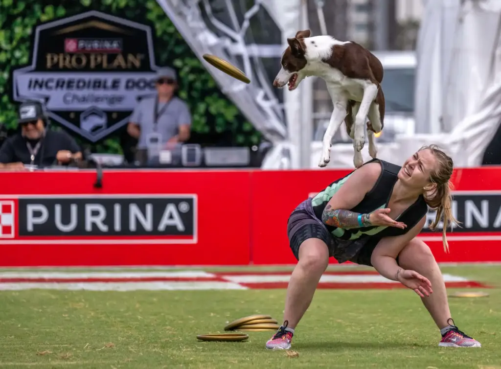 Madeline Mathews of Pleasant Hills and her dog, Debut, a...