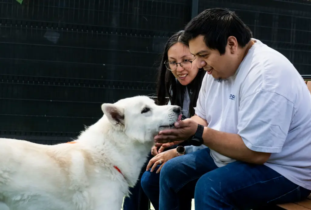 Henry and Elizabeth Fuentes visit Solstice, a Siberian Husky, for...