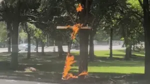 Chicago police investigating burning cross in Grant Park