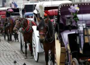 Teenage tourist dies as horse-drawn carriage overturns in NYC’s Central Park