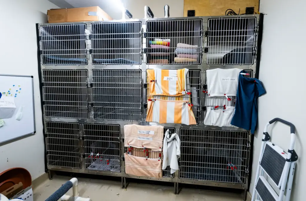 Towels cover the cages of raptor chicks at the Orange...
