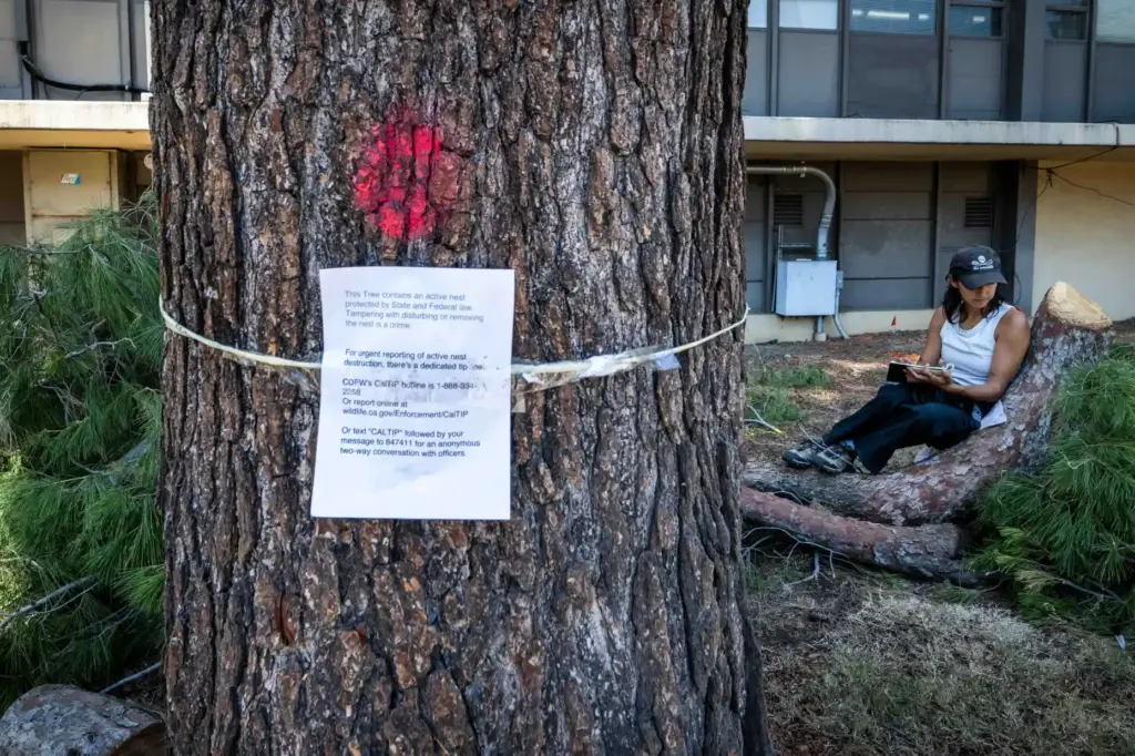 Nina Raj, of the Altadena Seed Library, sits on stumps...