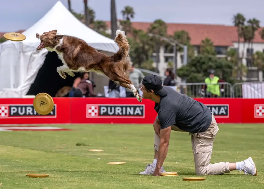 Chris Furseth of Scottsdale and his dog, Helios, a 5-year-old...