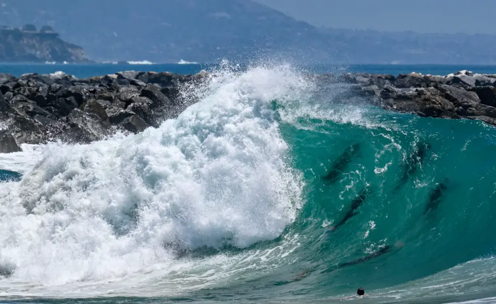Bodyboarders take on big waves at The Wedge in Newport...