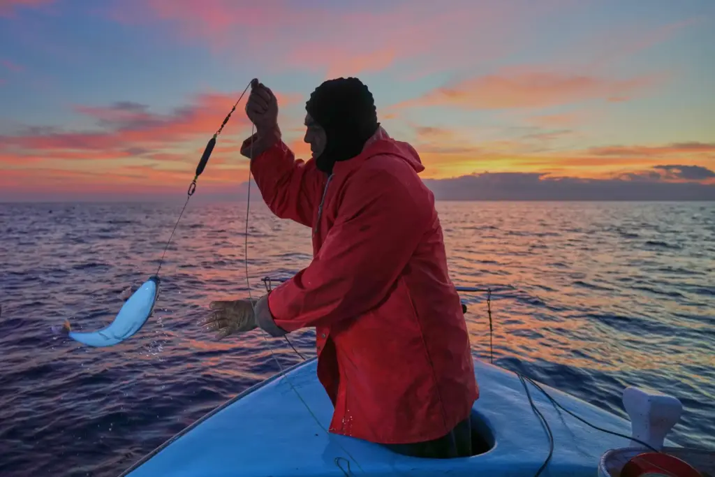 Fisherman Photis Gaitanos catches a toadfish while fishing from his...