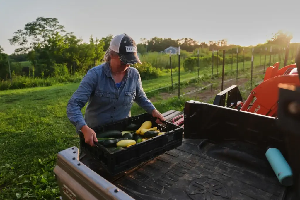 Annie Woods lifts a crate of squash and zucchini while harvesting.