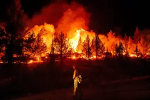 Wildfires are more extreme in Europe and North America, but global burning is oddly decreasing