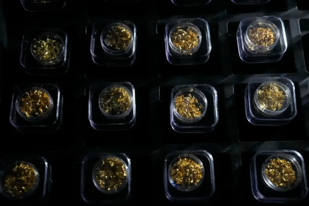 Gold samples seized during federal police investigations are displayed.