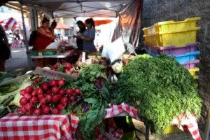 What to know about eating at home and dining out during the cyclospora outbreak