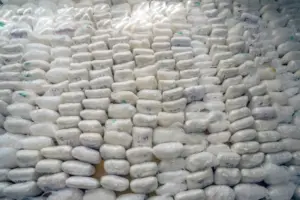 Man who organized U.S.-to-Canada long-haul drug transports gets 20 years in prison