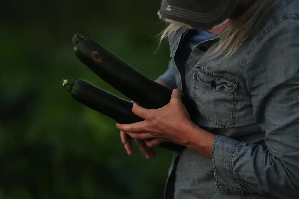 Annie Woods holds zucchini while harvesting produce.