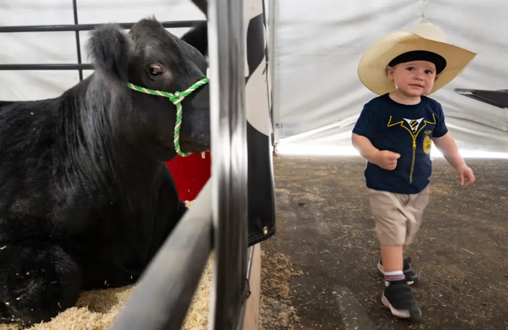 One-year-old Barron Vanden Raadt checks out Biggie, Buena Park High...