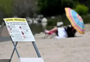 Silverwood Lake closed to swimmers after toxic algae detected