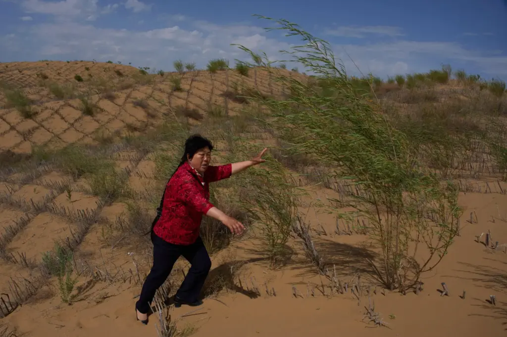 Desert control worker Yin Yuzhen walks along sand dunes covered...