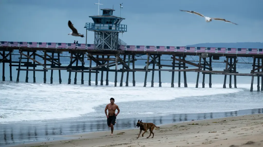 A man runs with a dog near the pier in...