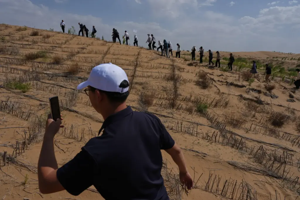Visitors walk past a grass checkerboard on a sand dune...
