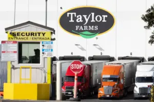 As parasite spawned chaos, Taylor Farms slow-walked its response