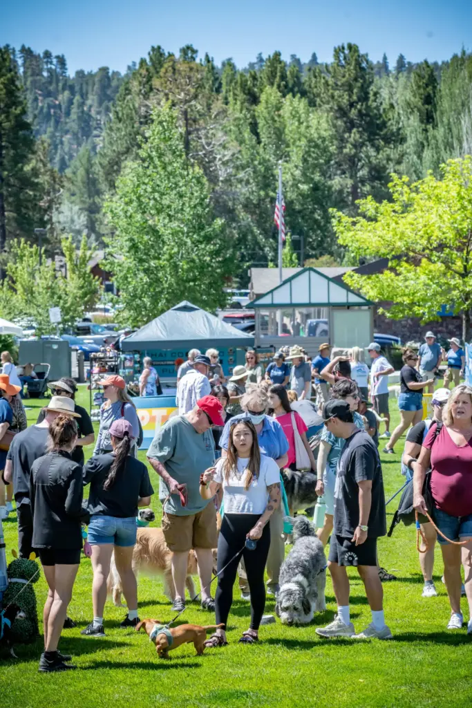People and dogs check out the 2026 Puptopia Festival at...