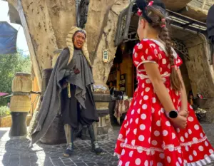 Frumpy Mom: Will your kids be safe at Disneyland?