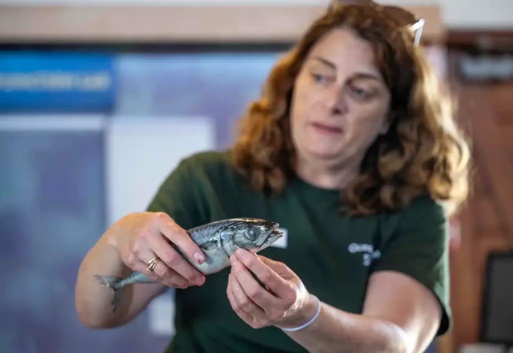 Megan Morrow, an Ocean Institute summer camp instructor, holds up...