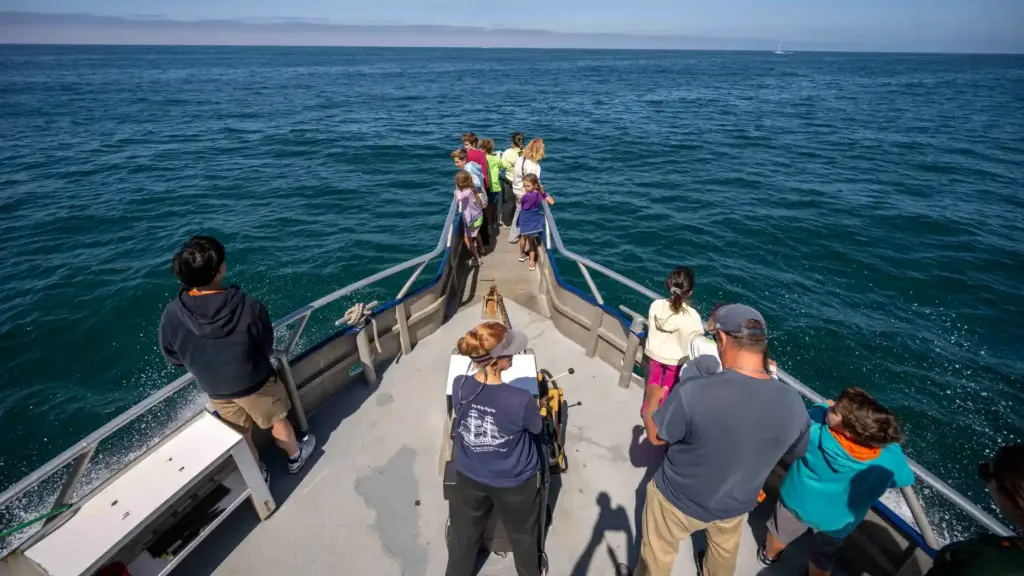 Ocean Institute campers learn about local marine life during a...