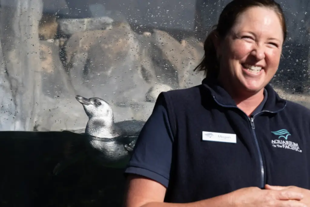 Sea Otter Program Manager Megan Smylie describes Ari, a three-month-old...