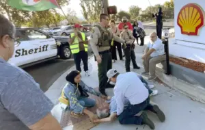 Professor gets year in jail for fatal blow to Jewish man during Thousand Oaks demonstrations