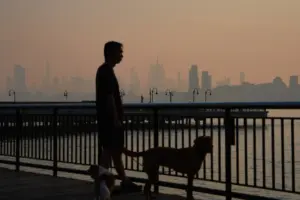 Wildfire smoke kills tens of thousands of people a year. Here’s how it attacks the body
