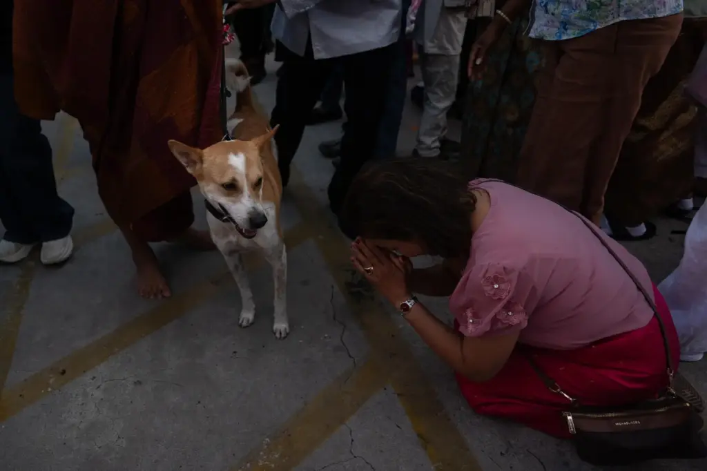 A woman bows as she greets Bhikkhu Pannakara, a Buddhist...