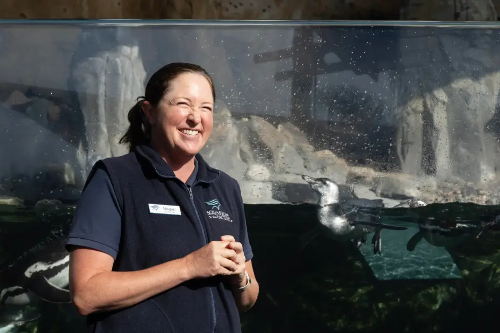 Sea Otter Program Manager Megan Smylie describes Ari, a three-month-old...